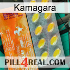 Kamagara new05